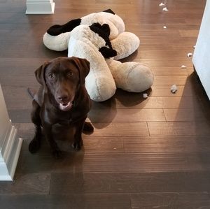 Meet your Posher, Jamie